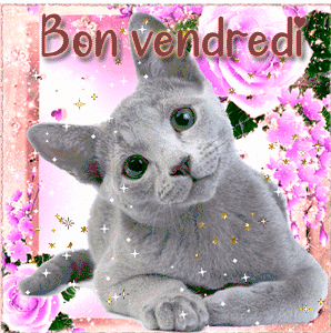 Gif animé Bon vendredi chat